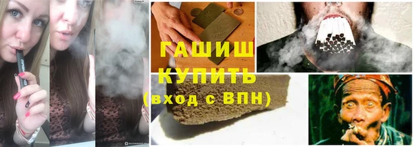сатива Лабытнанги