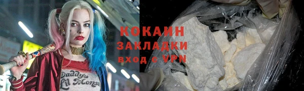 сатива Лабытнанги