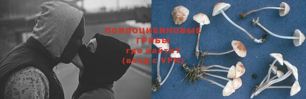 сатива Лабытнанги