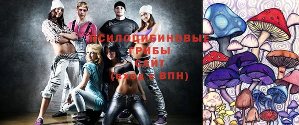сатива Лабытнанги