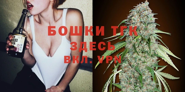 сатива Лабытнанги