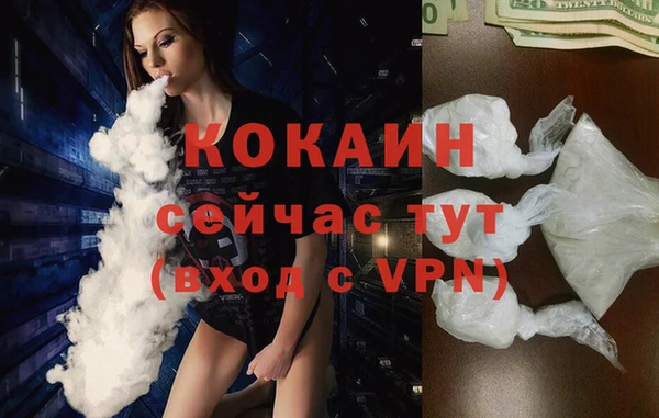 сатива Лабытнанги