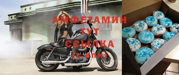 сатива Лабытнанги
