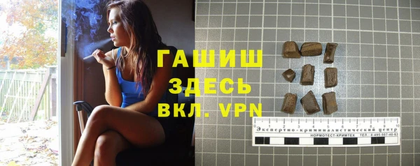 сатива Лабытнанги