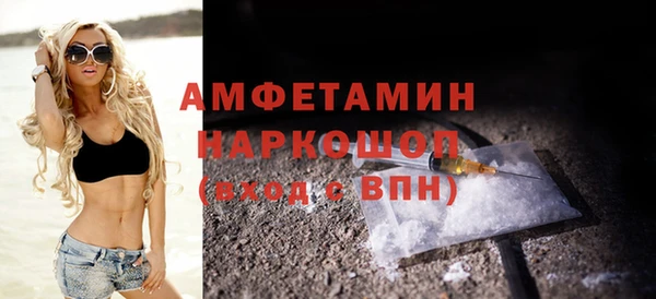 сатива Лабытнанги