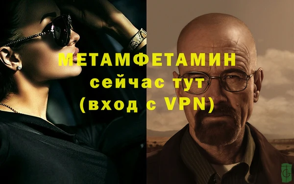 сатива Лабытнанги