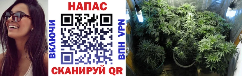 Купить закладки  Анива  МАРИХУАНА сатива 